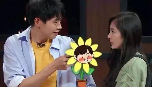 魏大勋杨幂最新现实爆料,娱乐圈背后的真实故事  第2张